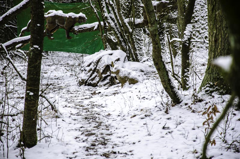 I A 185 Januar 16-bogenschiessen