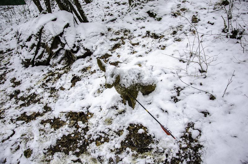 I A 187 Januar 16-bogenschiessen