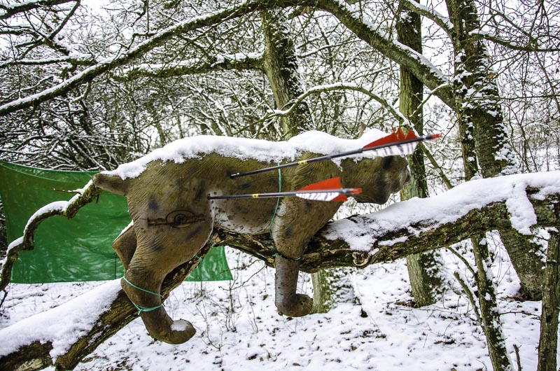 I A 188 Januar 16-bogenschiessen