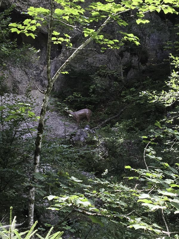 I A 002 August 15 3107-bogenschiessen