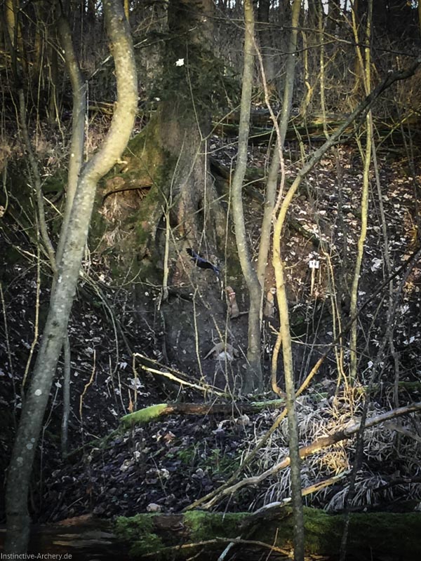 I A 002 Januar 16-bogenschiessen