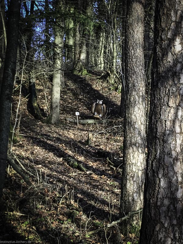 I A 003 Januar 16-bogenschiessen