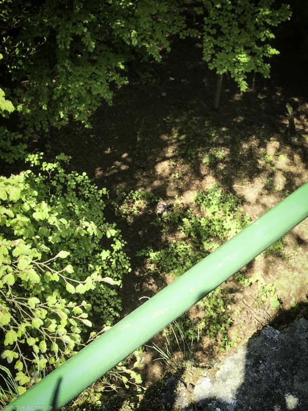 3D-Bogenparcours Leinen Los Gößweinstein - UPDATE Mai 11-bogenschiessen I A 004 Mai 16 5090-bogenschiessen