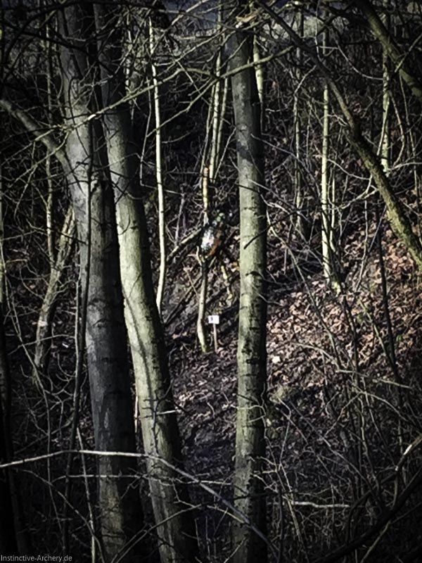 I A 008 Januar 16-bogenschiessen