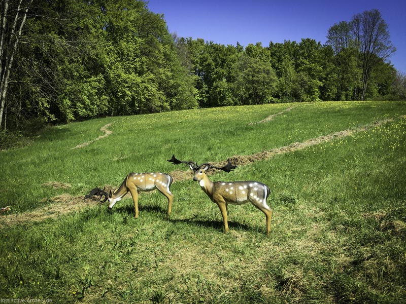 3D-Bogenparcours Leinen Los Gößweinstein - UPDATE Mai 15-bogenschiessen I A 008 Mai 16 5098-bogenschiessen