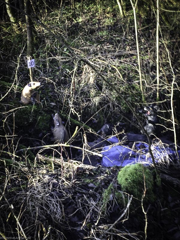 I A 009 Januar 16-bogenschiessen