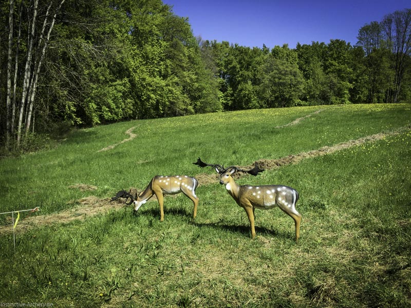 3D-Bogenparcours Leinen Los Gößweinstein - UPDATE Mai 16-bogenschiessen I A 009 Mai 16 5099-bogenschiessen