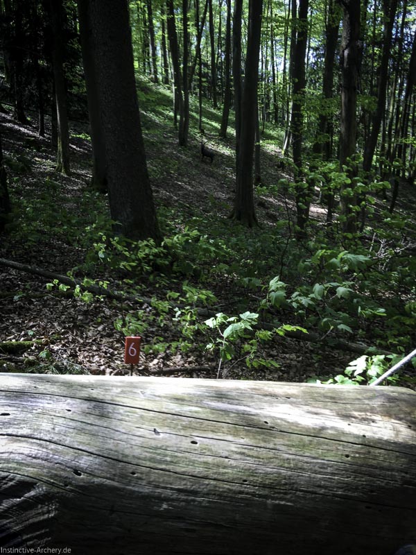 3D-Bogenparcours Leinen Los Gößweinstein - UPDATE Mai 17-bogenschiessen I A 010 Mai 16 5100-bogenschiessen