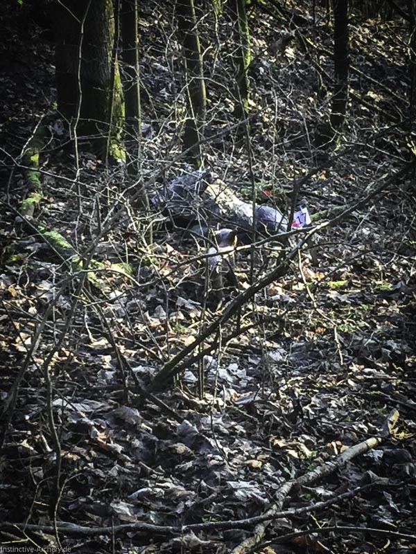 I A 011 Januar 16-bogenschiessen