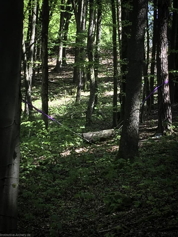 3D-Bogenparcours Leinen Los Gößweinstein - UPDATE Mai 19-bogenschiessen I A 012 Mai 16 5113-bogenschiessen