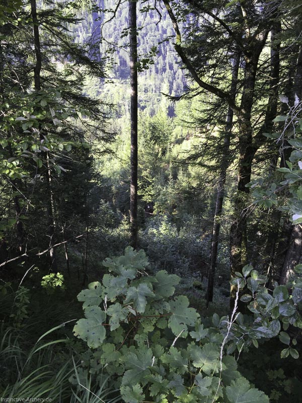 I A 014 August 15 3119-bogenschiessen