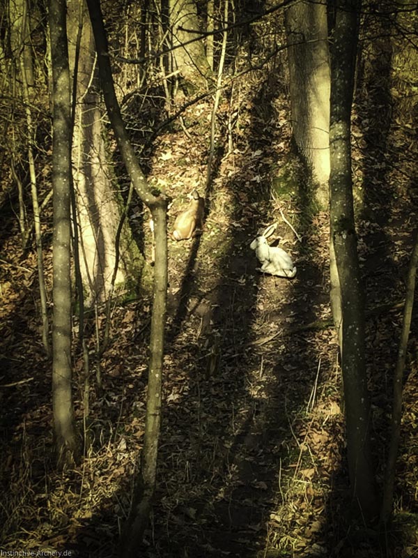 I A 014 Januar 16-bogenschiessen