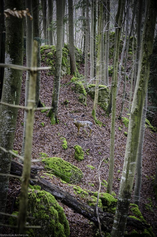 3D-Bogenparcours Leinen Los Gößweinstein - UPDATE Mai 97-bogenschiessen I A 015 Februar 16 9896-bogenschiessen