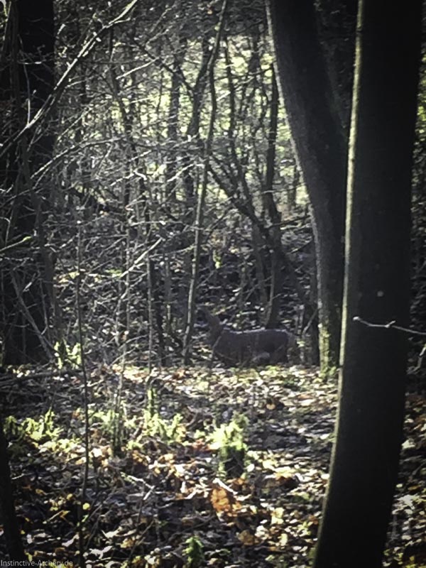 I A 015 Januar 16-bogenschiessen