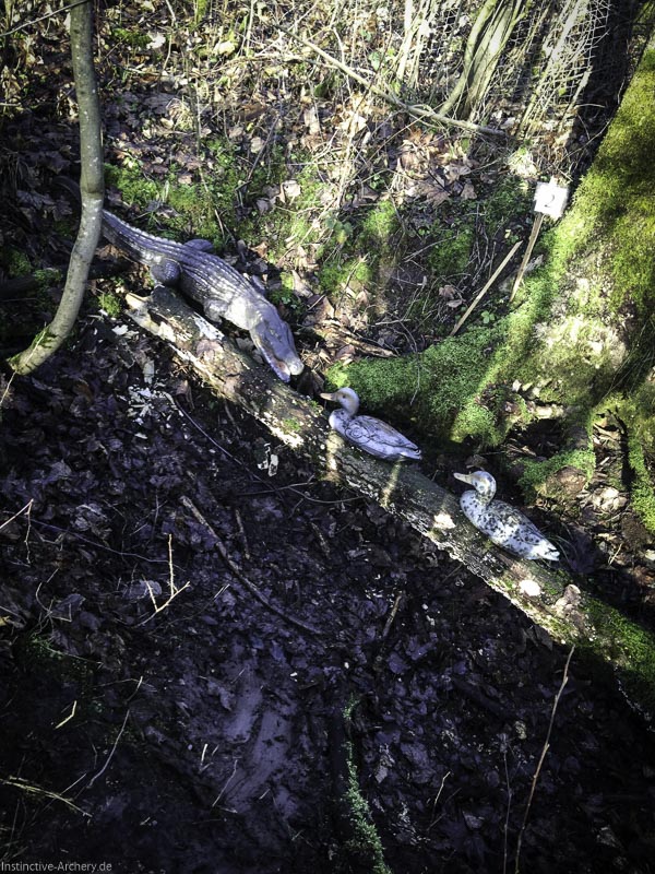 I A 016 Januar 16-bogenschiessen