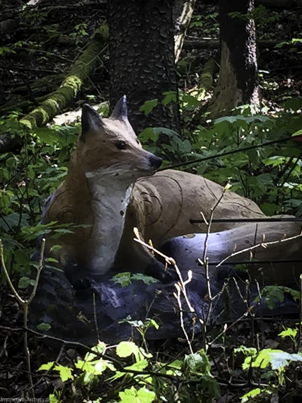 3D-Bogenparcours Leinen Los Gößweinstein - UPDATE Mai 24-bogenschiessen I A 016 Mai 16 5124-bogenschiessen