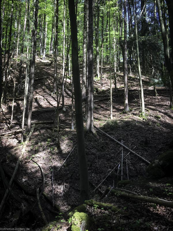 3D-Bogenparcours Leinen Los Gößweinstein - UPDATE Mai 28-bogenschiessen I A 020 Mai 16 5136-bogenschiessen