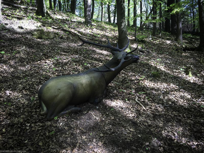 3D-Bogenparcours Leinen Los Gößweinstein - UPDATE Mai 30-bogenschiessen I A 022 Mai 16 5139-bogenschiessen