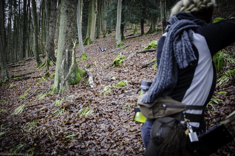 3D-Bogenparcours Leinen Los Gößweinstein - UPDATE Mai 100-bogenschiessen I A 023 Februar 16 9904-bogenschiessen