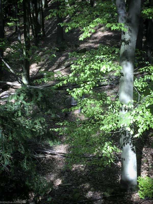 3D-Bogenparcours Leinen Los Gößweinstein - UPDATE Mai 33-bogenschiessen I A 025 Mai 16 5143-bogenschiessen