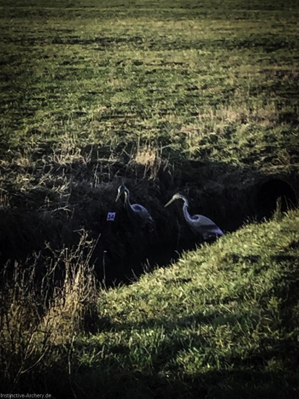 I A 028 Januar 16-bogenschiessen