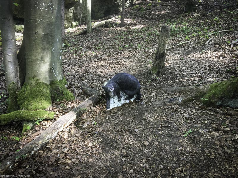3D-Bogenparcours Leinen Los Gößweinstein - UPDATE Mai 36-bogenschiessen I A 028 Mai 16 5147-bogenschiessen