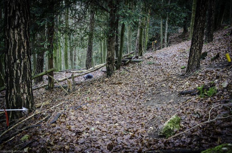 3D-Bogenparcours Leinen Los Gößweinstein - UPDATE Mai 103-bogenschiessen I A 029 Februar 16 9910-bogenschiessen