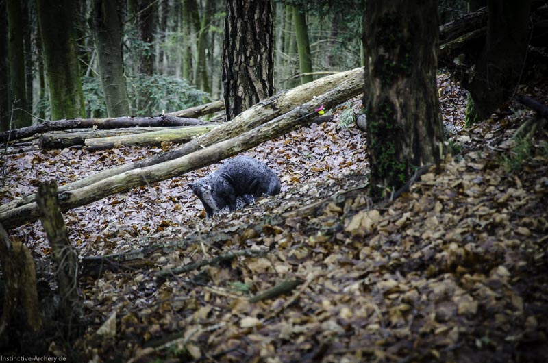 3D-Bogenparcours Leinen Los Gößweinstein - UPDATE Mai 104-bogenschiessen I A 031 Februar 16 9912-bogenschiessen