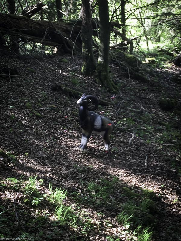 3D-Bogenparcours Leinen Los Gößweinstein - UPDATE Mai 39-bogenschiessen I A 031 Mai 16 5151-bogenschiessen