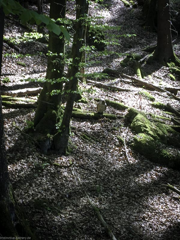 3D-Bogenparcours Leinen Los Gößweinstein - UPDATE Mai 40-bogenschiessen I A 032 Mai 16 5152-bogenschiessen
