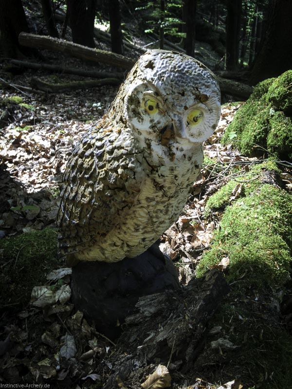 3D-Bogenparcours Leinen Los Gößweinstein - UPDATE Mai 41-bogenschiessen I A 033 Mai 16 5153-bogenschiessen