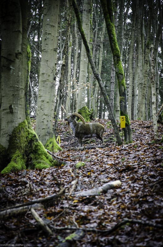 3D-Bogenparcours Leinen Los Gößweinstein - UPDATE Mai 106-bogenschiessen I A 034 Februar 16 9915-bogenschiessen