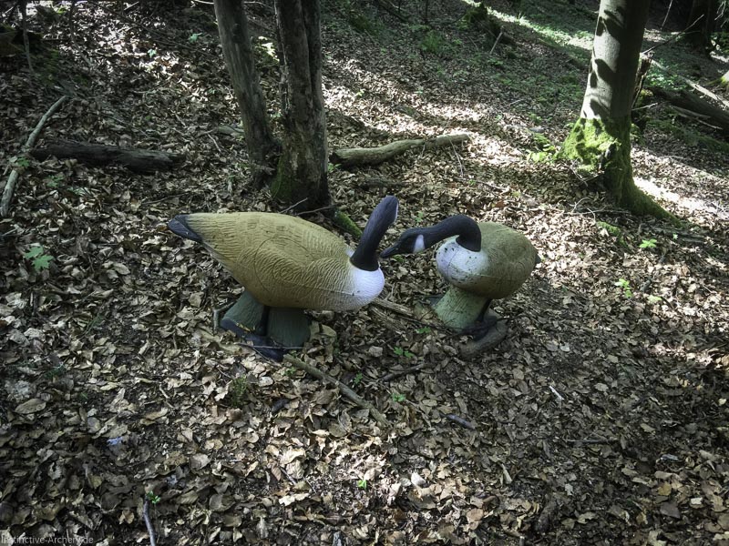3D-Bogenparcours Leinen Los Gößweinstein - UPDATE Mai 42-bogenschiessen I A 034 Mai 16 5155-bogenschiessen