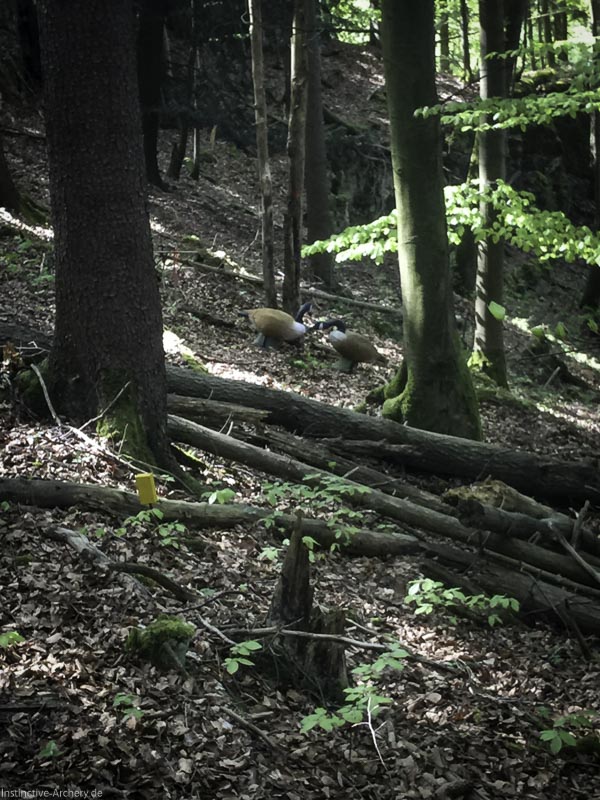 3D-Bogenparcours Leinen Los Gößweinstein - UPDATE Mai 43-bogenschiessen I A 035 Mai 16 5154-bogenschiessen