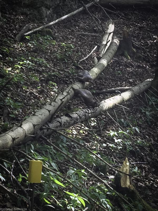 3D-Bogenparcours Leinen Los Gößweinstein - UPDATE Mai 44-bogenschiessen I A 036 Mai 16 5157-bogenschiessen