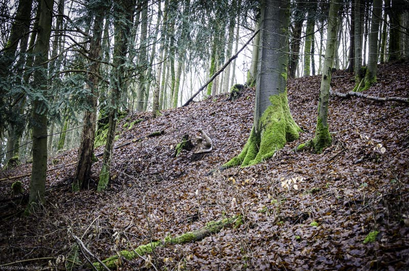 3D-Bogenparcours Leinen Los Gößweinstein - UPDATE Mai 108-bogenschiessen I A 038 Februar 16 9919-bogenschiessen
