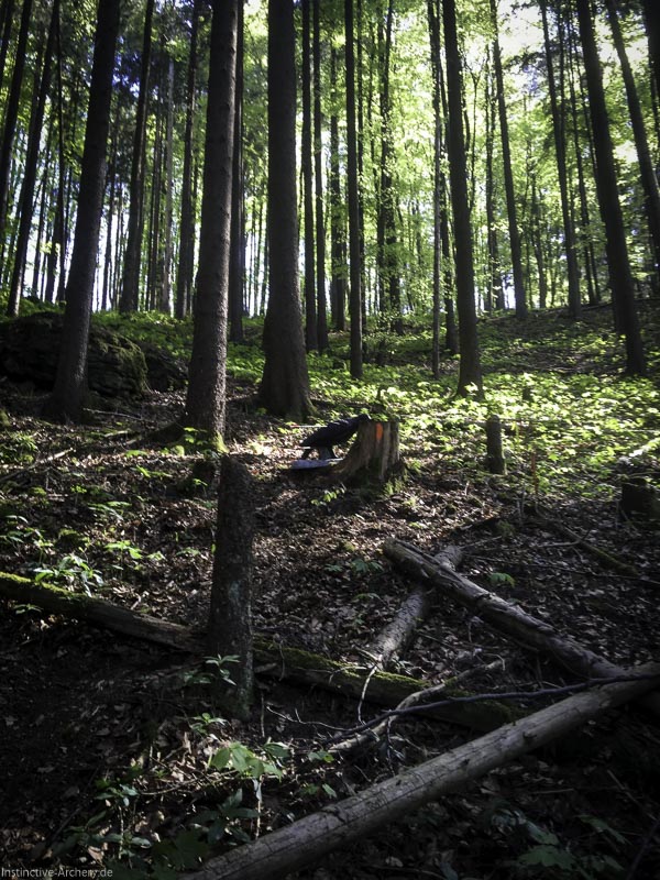 3D-Bogenparcours Leinen Los Gößweinstein - UPDATE Mai 48-bogenschiessen I A 040 Mai 16 5162-bogenschiessen
