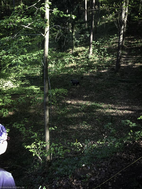 3D-Bogenparcours Leinen Los Gößweinstein - UPDATE Mai 49-bogenschiessen I A 041 Mai 16 5164-bogenschiessen