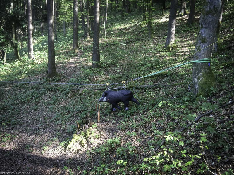 3D-Bogenparcours Leinen Los Gößweinstein - UPDATE Mai 50-bogenschiessen I A 042 Mai 16 5166-bogenschiessen