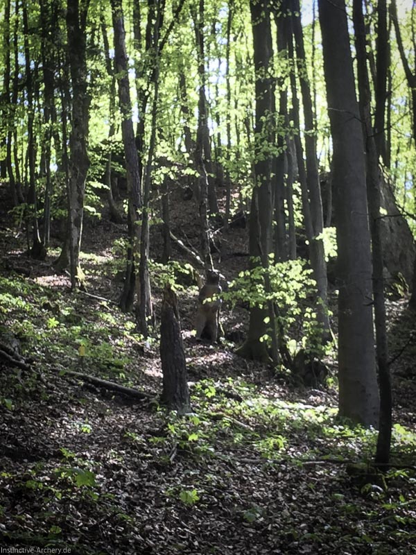 3D-Bogenparcours Leinen Los Gößweinstein - UPDATE Mai 52-bogenschiessen I A 044 Mai 16 5172-bogenschiessen