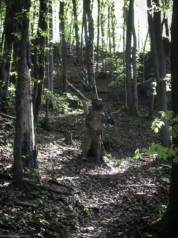 3D-Bogenparcours Leinen Los Gößweinstein - UPDATE Mai 53-bogenschiessen I A 045 Mai 16 5173-bogenschiessen