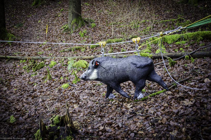 3D-Bogenparcours Leinen Los Gößweinstein - UPDATE Mai 113-bogenschiessen I A 050 Februar 16 9932-bogenschiessen