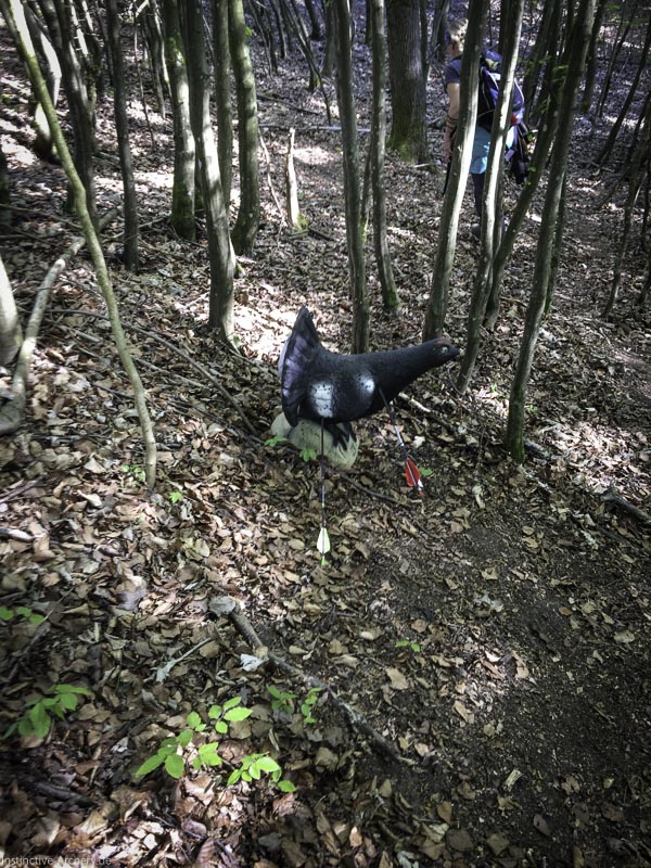 3D-Bogenparcours Leinen Los Gößweinstein - UPDATE Mai 64-bogenschiessen I A 056 Mai 16 5196-bogenschiessen