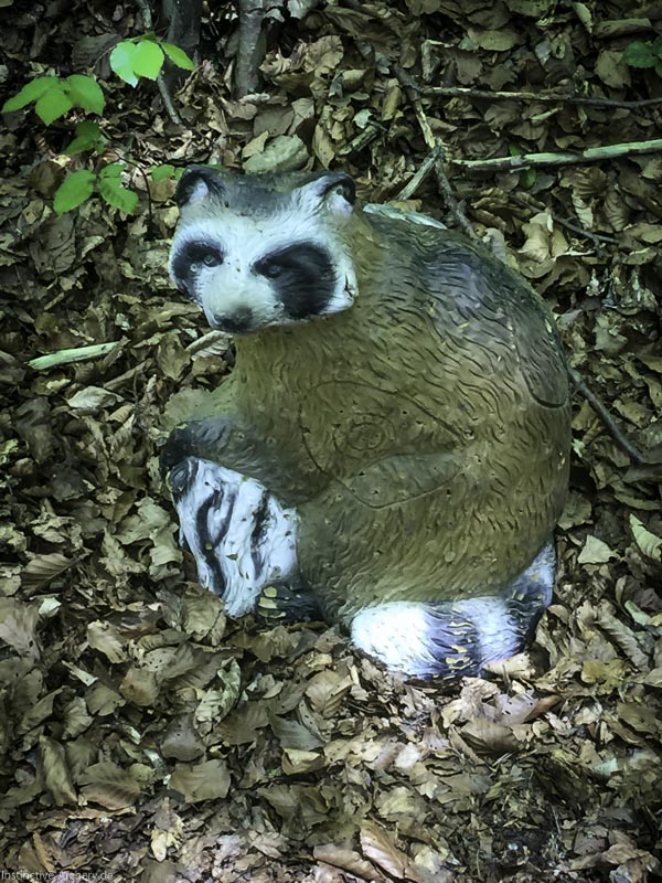 3D-Bogenparcours Leinen Los Gößweinstein - UPDATE Mai 3-bogenschiessen I A 063 Mai 16 5215-bogenschiessen