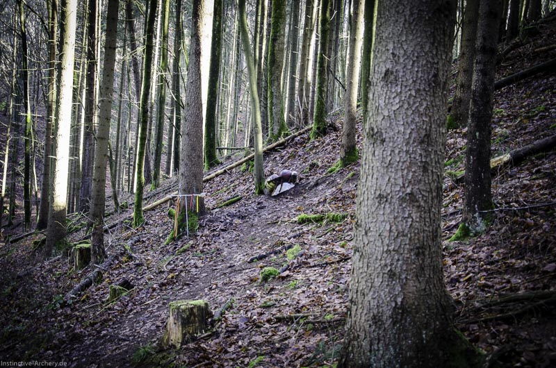 3D-Bogenparcours Leinen Los Gößweinstein - UPDATE Mai 117-bogenschiessen I A 064 Februar 16 9946-bogenschiessen