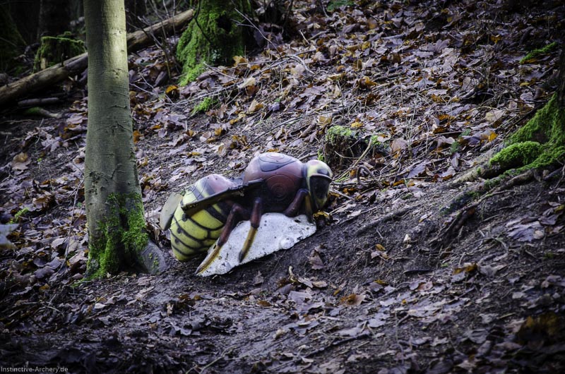 3D-Bogenparcours Leinen Los Gößweinstein - UPDATE Mai 118-bogenschiessen I A 066 Februar 16 9948-bogenschiessen