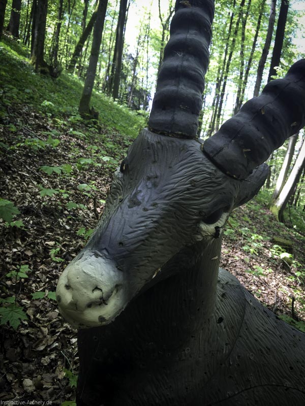 3D-Bogenparcours Leinen Los Gößweinstein - UPDATE Mai 21-bogenschiessen I A 069 Mai 16 5225-bogenschiessen