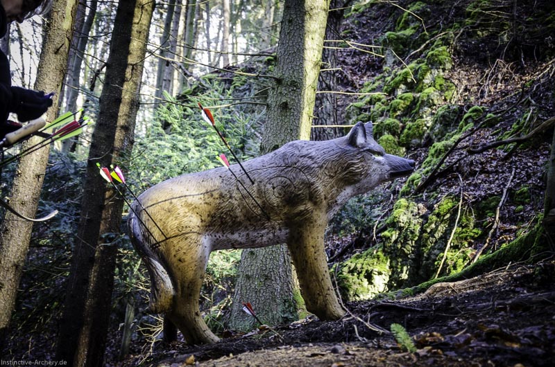 3D-Bogenparcours Leinen Los Gößweinstein - UPDATE Mai 121-bogenschiessen I A 072 Februar 16 9954-bogenschiessen