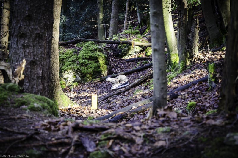 3D-Bogenparcours Leinen Los Gößweinstein - UPDATE Mai 122-bogenschiessen I A 075 Februar 16 9957-bogenschiessen