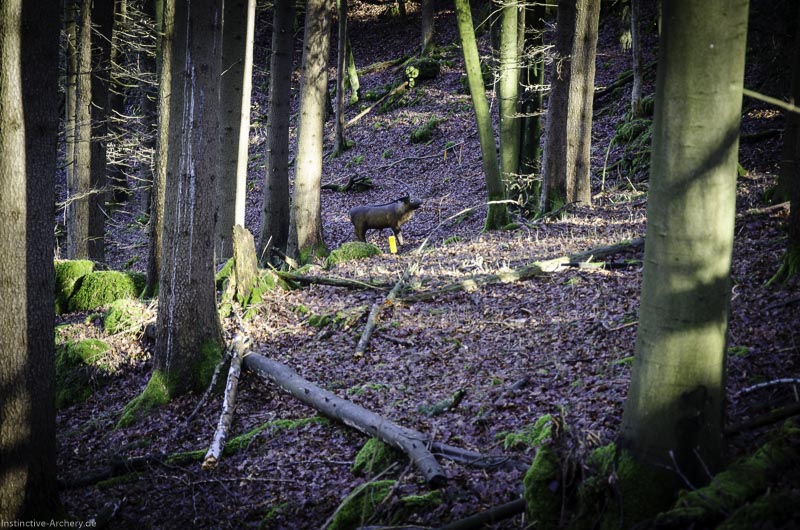 3D-Bogenparcours Leinen Los Gößweinstein - UPDATE Mai 126-bogenschiessen I A 081 Februar 16 9963-bogenschiessen
